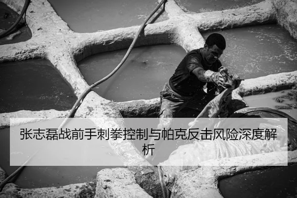 张志磊战前手刺拳控制与帕克反击风险深度解析