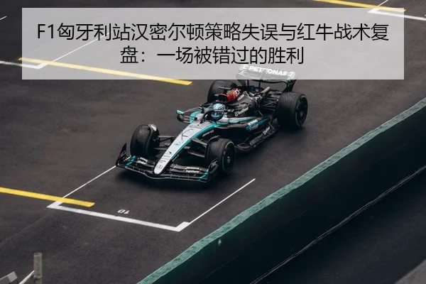 xiong-ya-li-zhan-han-mi-er-dun-ce-lve-shi-wu-yu-hong-niu-zhan-shu-fu-pan-yi-chang-bei-cuo-guo-de-sheng-li-3-698.jpg