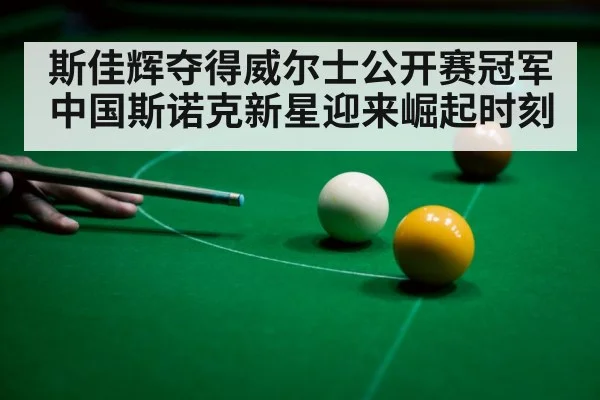 斯佳辉夺得威尔士公开赛冠军 中国斯诺克新星迎来崛起时刻