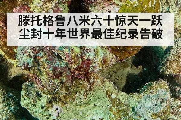 滕托格鲁八米六十惊天一跃 尘封十年世界最佳纪录告破